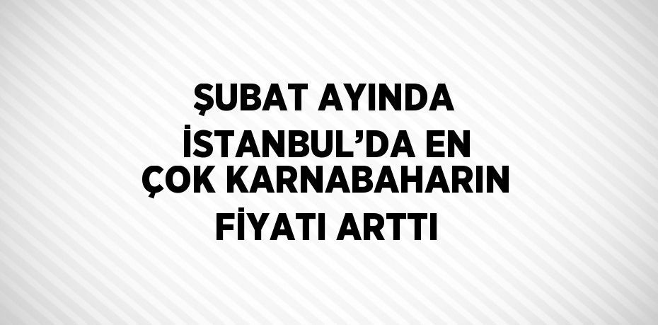 ŞUBAT AYINDA İSTANBUL’DA EN ÇOK KARNABAHARIN FİYATI ARTTI