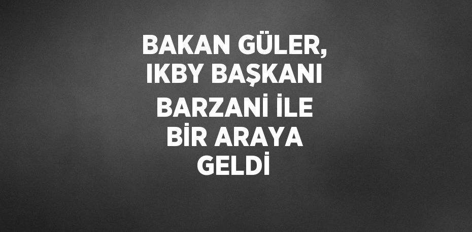 BAKAN GÜLER, IKBY BAŞKANI BARZANİ İLE BİR ARAYA GELDİ