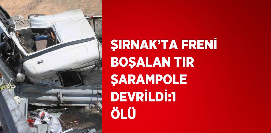 ŞIRNAK’TA FRENİ BOŞALAN TIR ŞARAMPOLE DEVRİLDİ:1 ÖLÜ