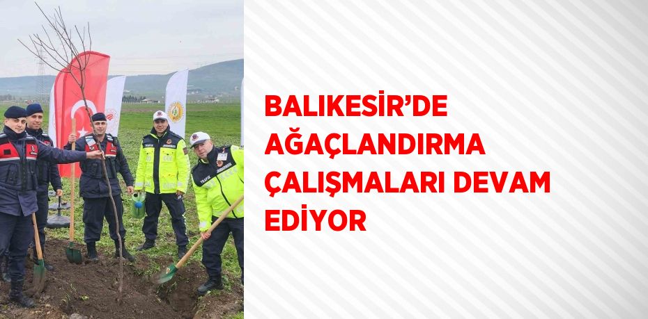 BALIKESİR’DE AĞAÇLANDIRMA ÇALIŞMALARI DEVAM EDİYOR