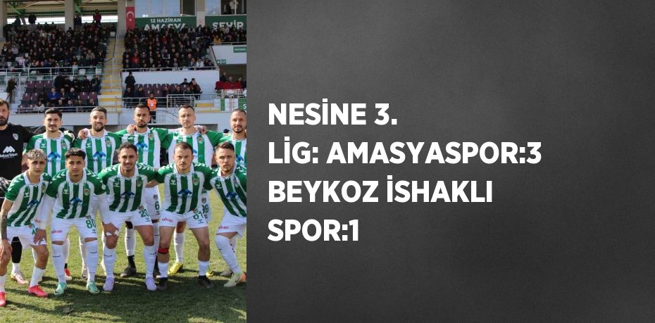 NESİNE 3. LİG: AMASYASPOR:3 BEYKOZ İSHAKLI SPOR:1