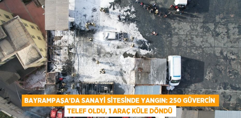 Bayrampaşa’da sanayi sitesinde yangın: 250 güvercin telef oldu, 1 araç küle döndü