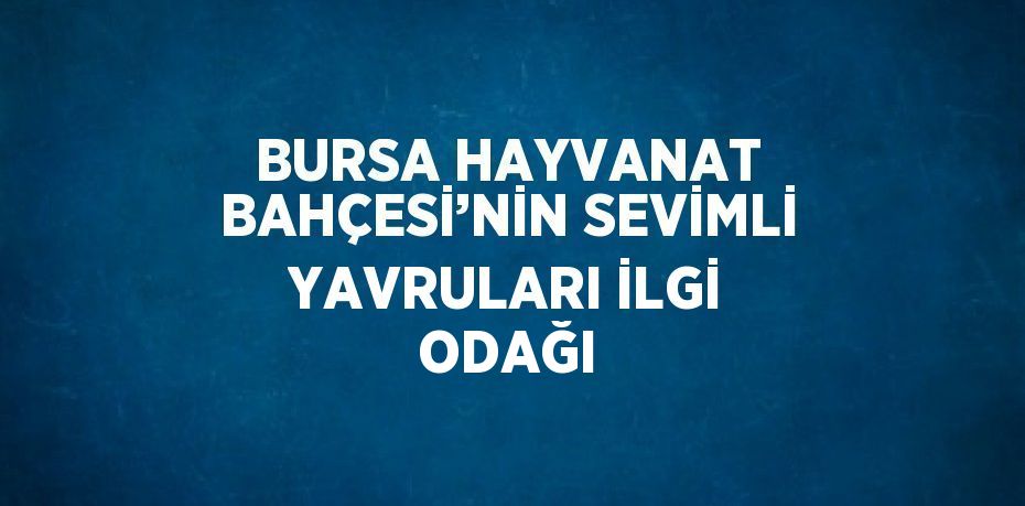 BURSA HAYVANAT BAHÇESİ’NİN SEVİMLİ YAVRULARI İLGİ ODAĞI