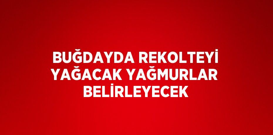 BUĞDAYDA REKOLTEYİ YAĞACAK YAĞMURLAR BELİRLEYECEK