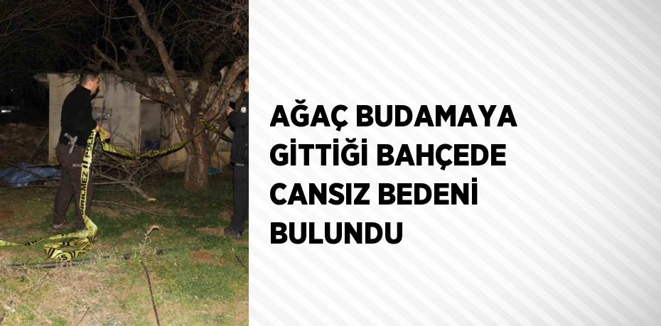 AĞAÇ BUDAMAYA GİTTİĞİ BAHÇEDE CANSIZ BEDENİ BULUNDU