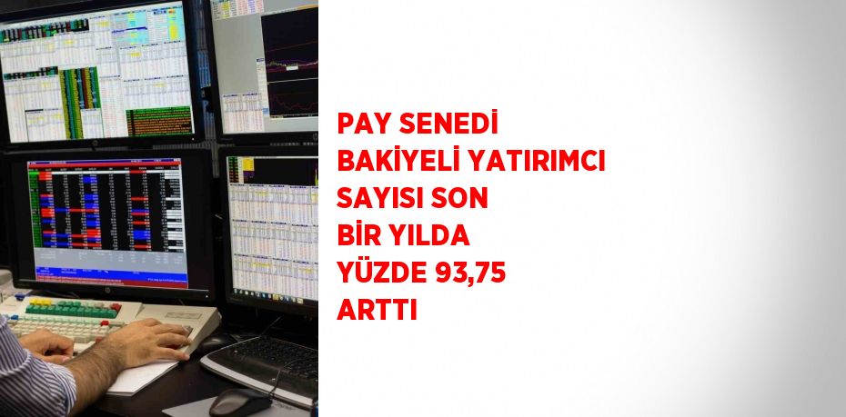 PAY SENEDİ BAKİYELİ YATIRIMCI SAYISI SON BİR YILDA YÜZDE 93,75 ARTTI