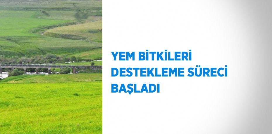 YEM BİTKİLERİ DESTEKLEME SÜRECİ BAŞLADI