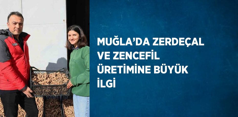 MUĞLA’DA ZERDEÇAL VE ZENCEFİL ÜRETİMİNE BÜYÜK İLGİ