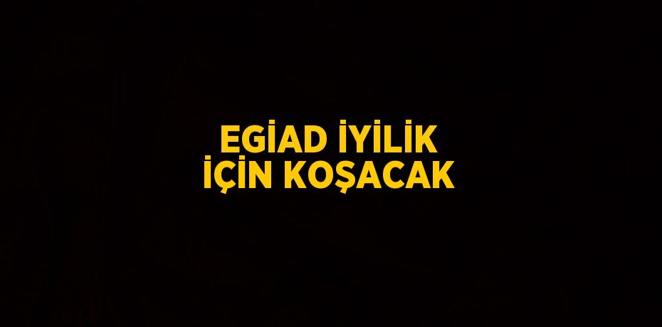 EGİAD İYİLİK İÇİN KOŞACAK