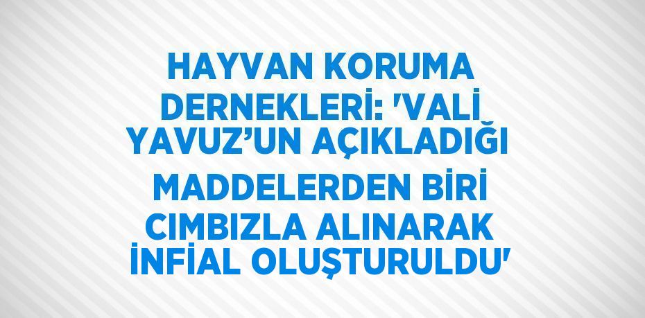 HAYVAN KORUMA DERNEKLERİ: 'VALİ YAVUZ’UN AÇIKLADIĞI MADDELERDEN BİRİ CIMBIZLA ALINARAK İNFİAL OLUŞTURULDU'