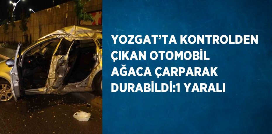 YOZGAT’TA KONTROLDEN ÇIKAN OTOMOBİL AĞACA ÇARPARAK DURABİLDİ:1 YARALI