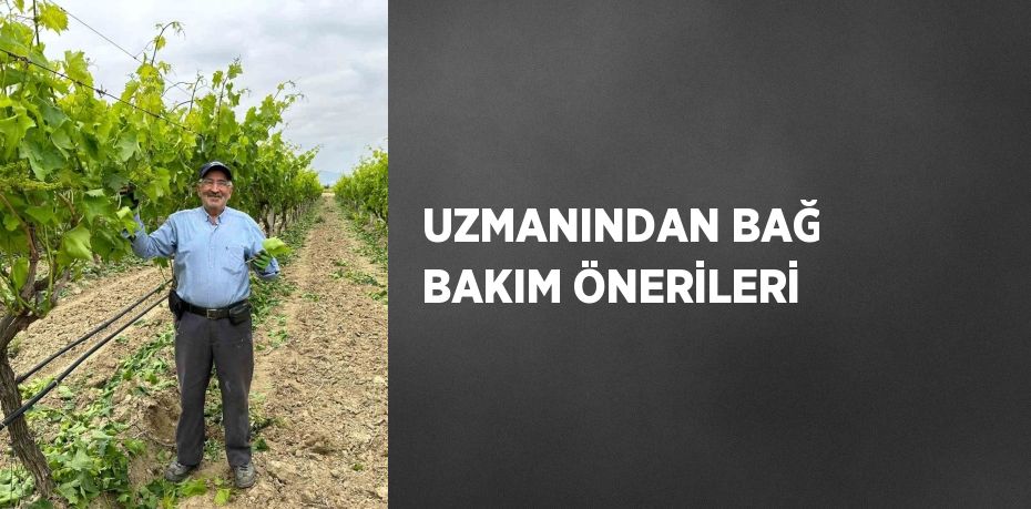 UZMANINDAN BAĞ BAKIM ÖNERİLERİ