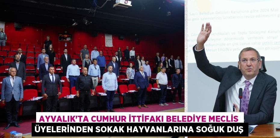 AYVALIK’TA CUMHUR İTTİFAKI BELEDİYE MECLİS ÜYELERİNDEN SOKAK HAYVANLARINA SOĞUK DUŞ