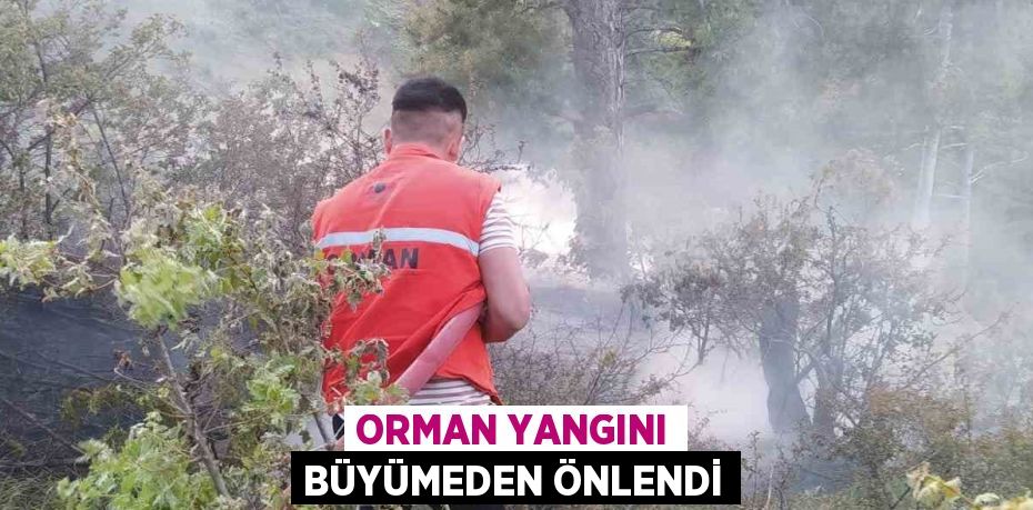 ORMAN YANGINI BÜYÜMEDEN ÖNLENDİ