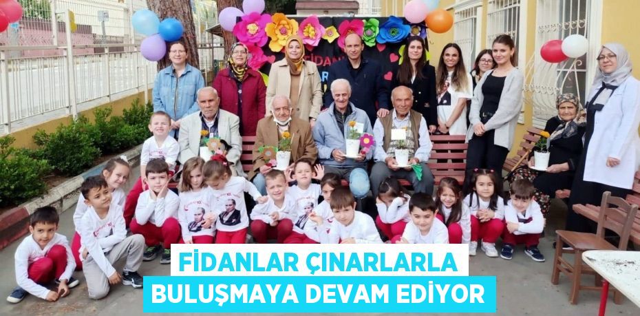 FİDANLAR ÇINARLARLA BULUŞMAYA DEVAM EDİYOR