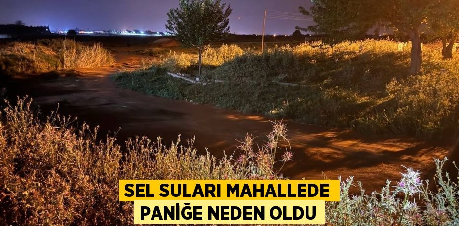 SEL SULARI MAHALLEDE PANİĞE NEDEN OLDU