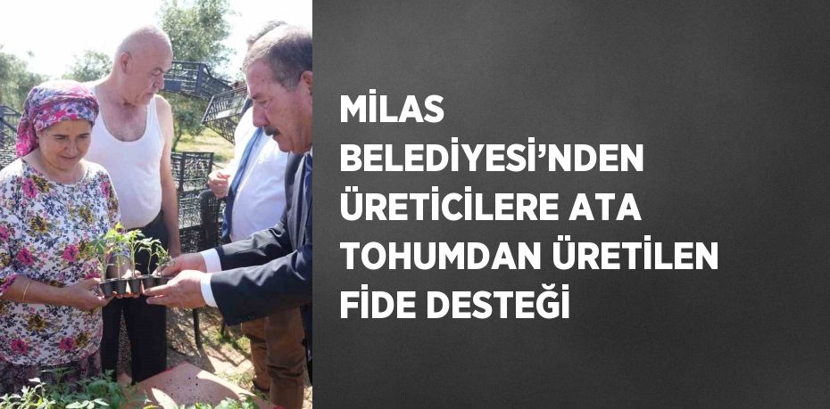 MİLAS BELEDİYESİ’NDEN ÜRETİCİLERE ATA TOHUMDAN ÜRETİLEN FİDE DESTEĞİ