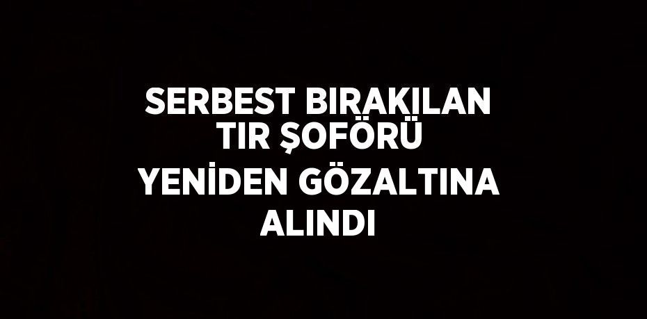 SERBEST BIRAKILAN TIR ŞOFÖRÜ YENİDEN GÖZALTINA ALINDI