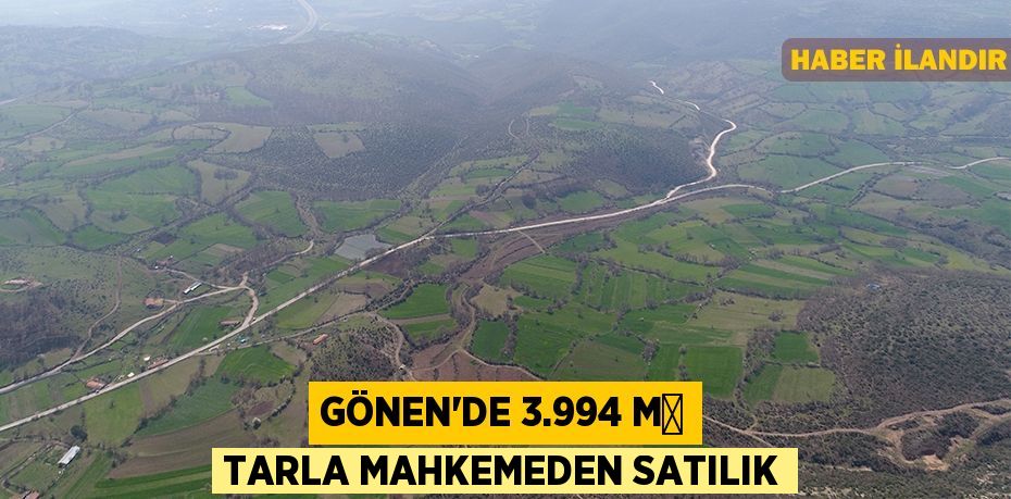 Gönen'de 3.994 m² tarla mahkemeden satılık