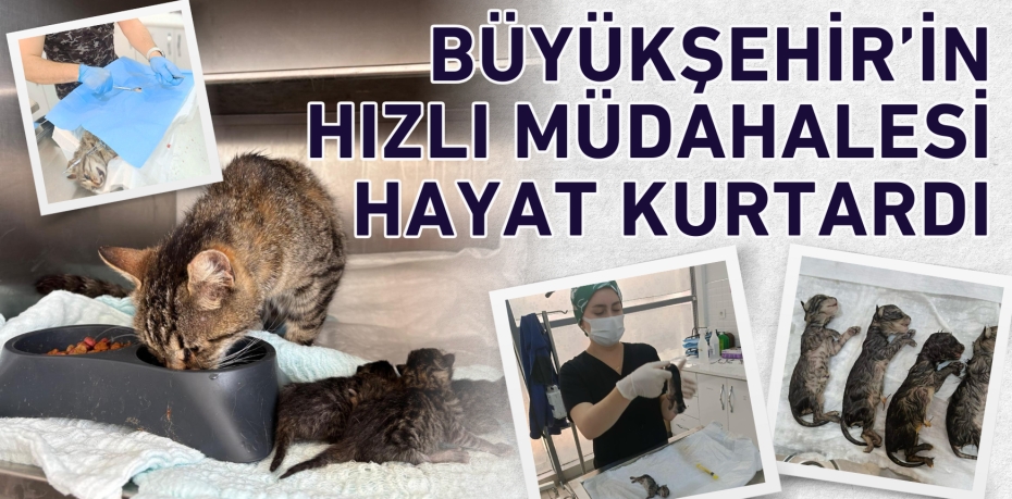 BÜYÜKŞEHİR’İN HIZLI MÜDAHALESİ HAYAT KURTARDI