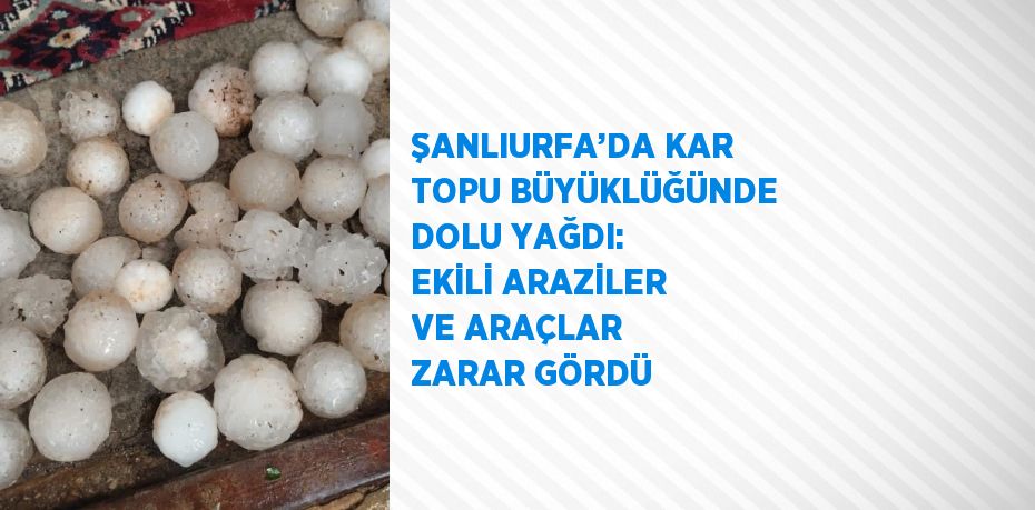 ŞANLIURFA’DA KAR TOPU BÜYÜKLÜĞÜNDE DOLU YAĞDI: EKİLİ ARAZİLER VE ARAÇLAR ZARAR GÖRDÜ