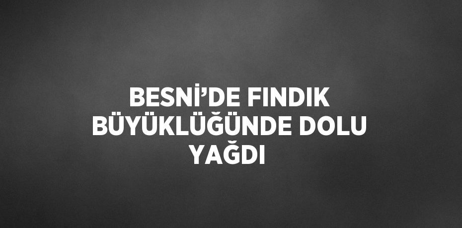 BESNİ’DE FINDIK BÜYÜKLÜĞÜNDE DOLU YAĞDI