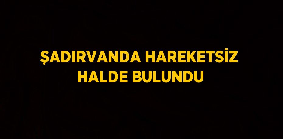 ŞADIRVANDA HAREKETSİZ HALDE BULUNDU