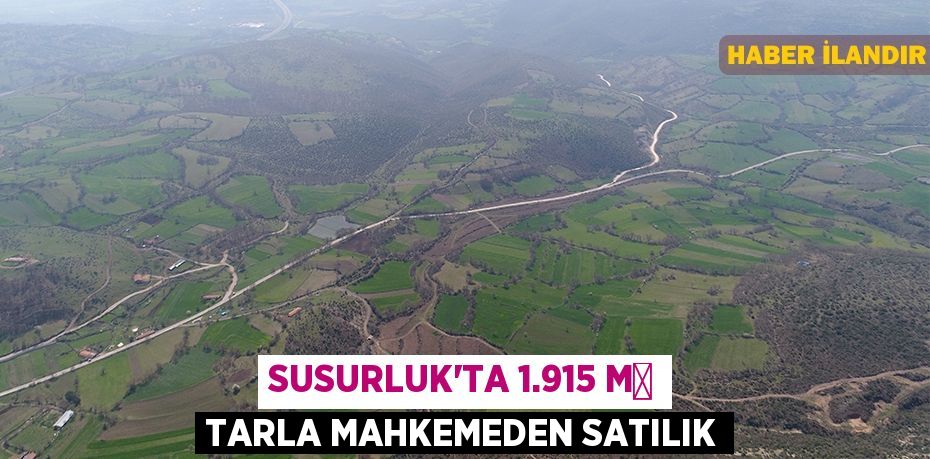 Susurluk'ta 1.915 m² tarla mahkemeden satılık