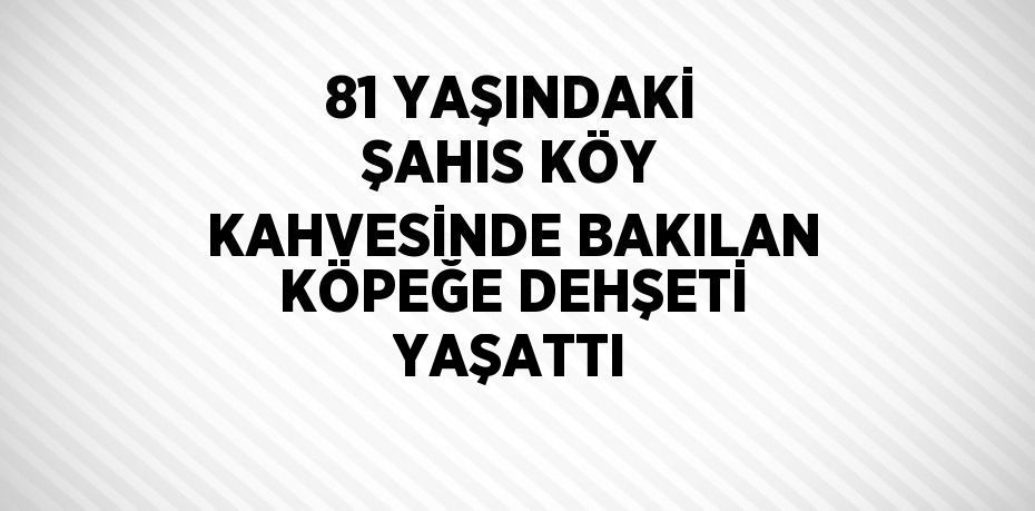 81 YAŞINDAKİ ŞAHIS KÖY KAHVESİNDE BAKILAN KÖPEĞE DEHŞETİ YAŞATTI