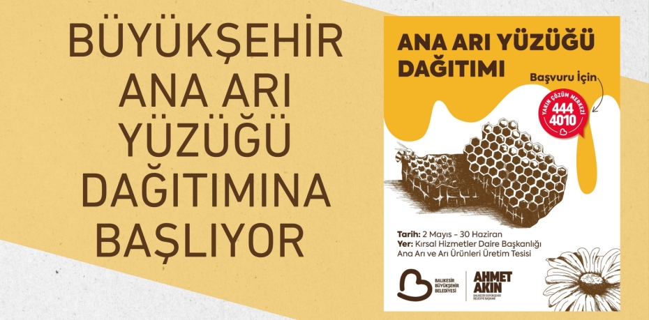 BÜYÜKŞEHİR ANA ARI YÜZÜĞÜ DAĞITIMINA BAŞLIYOR