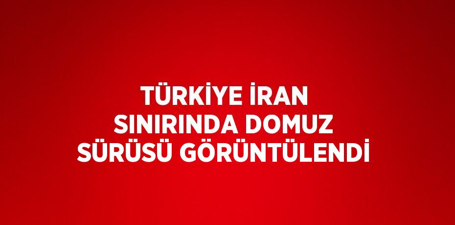 TÜRKİYE İRAN SINIRINDA DOMUZ SÜRÜSÜ GÖRÜNTÜLENDİ