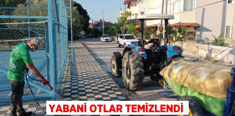 YABANİ OTLAR TEMİZLENDİ