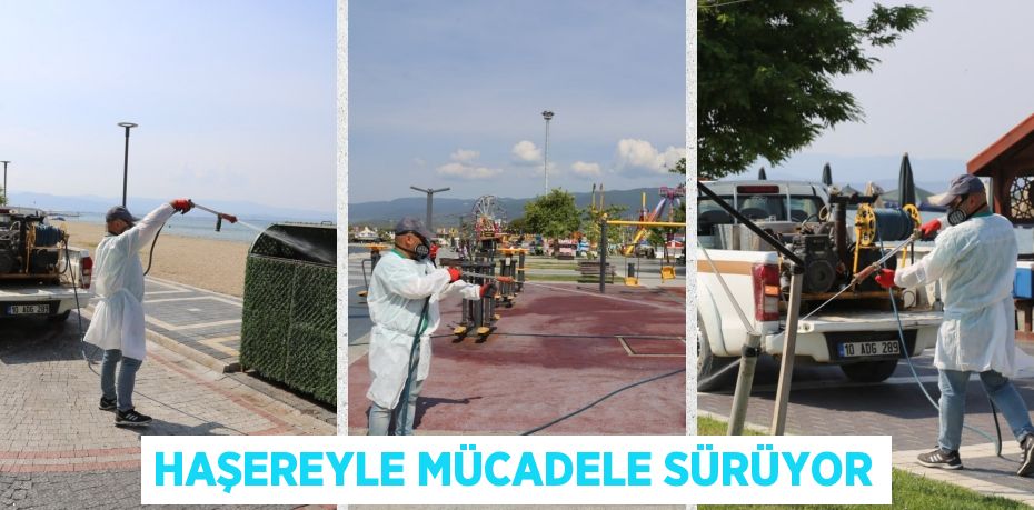 HAŞEREYLE MÜCADELE SÜRÜYOR