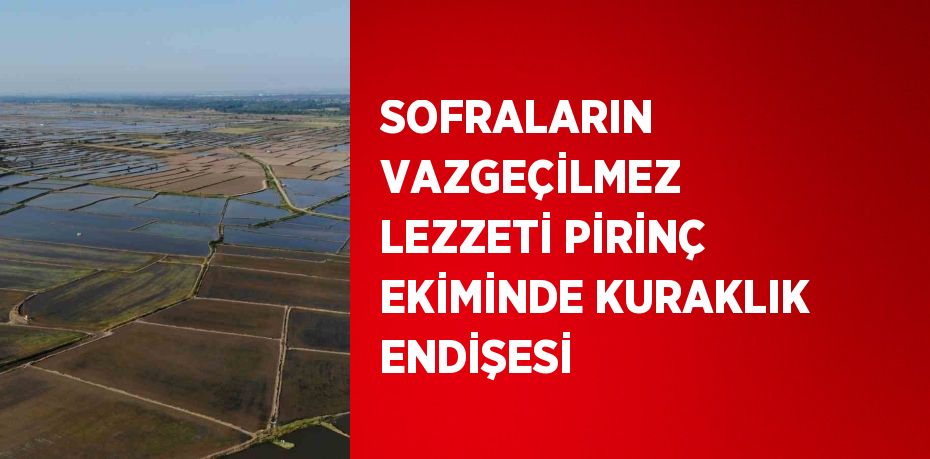 SOFRALARIN VAZGEÇİLMEZ LEZZETİ PİRİNÇ EKİMİNDE KURAKLIK ENDİŞESİ