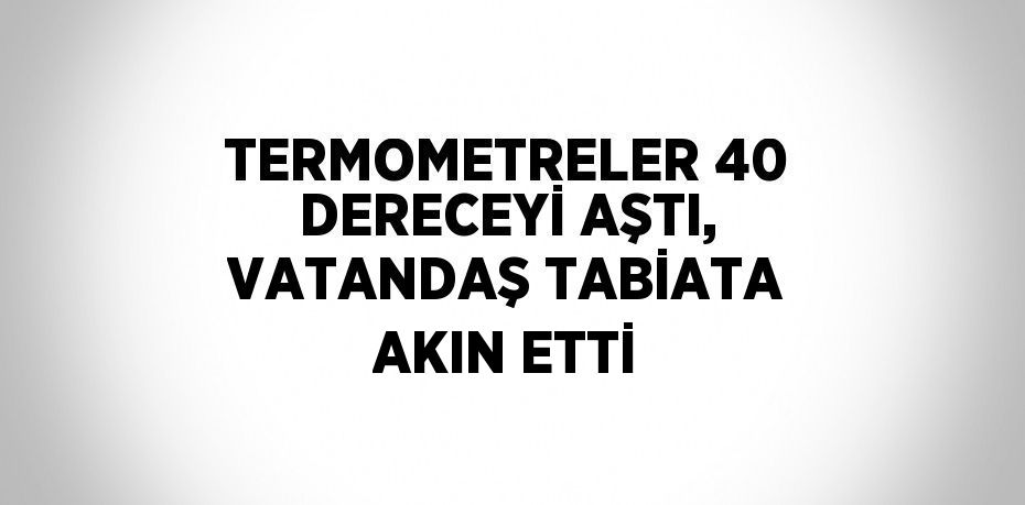 TERMOMETRELER 40 DERECEYİ AŞTI, VATANDAŞ TABİATA AKIN ETTİ