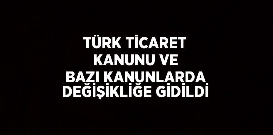 TÜRK TİCARET KANUNU VE BAZI KANUNLARDA DEĞİŞİKLİĞE GİDİLDİ