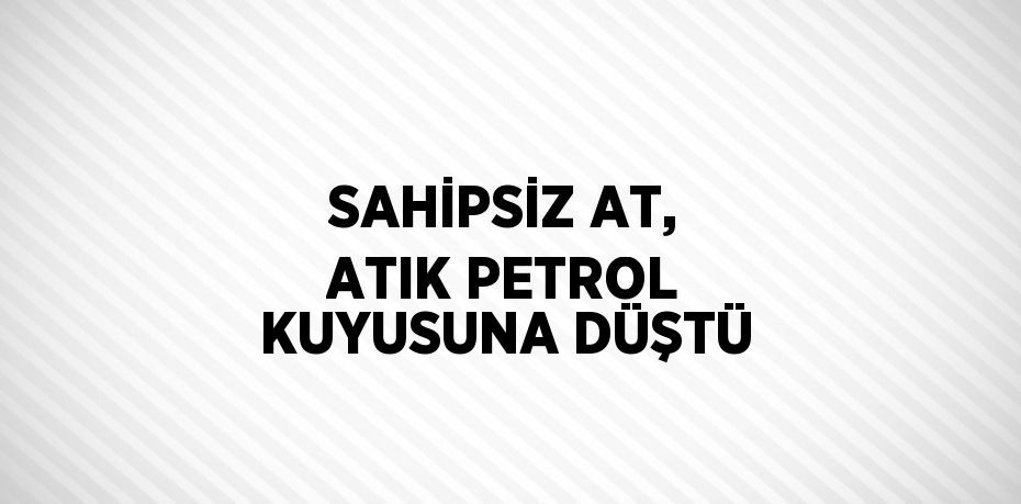 SAHİPSİZ AT, ATIK PETROL KUYUSUNA DÜŞTÜ