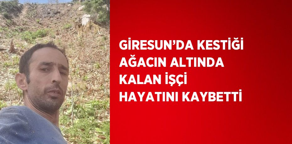 GİRESUN’DA KESTİĞİ AĞACIN ALTINDA KALAN İŞÇİ HAYATINI KAYBETTİ