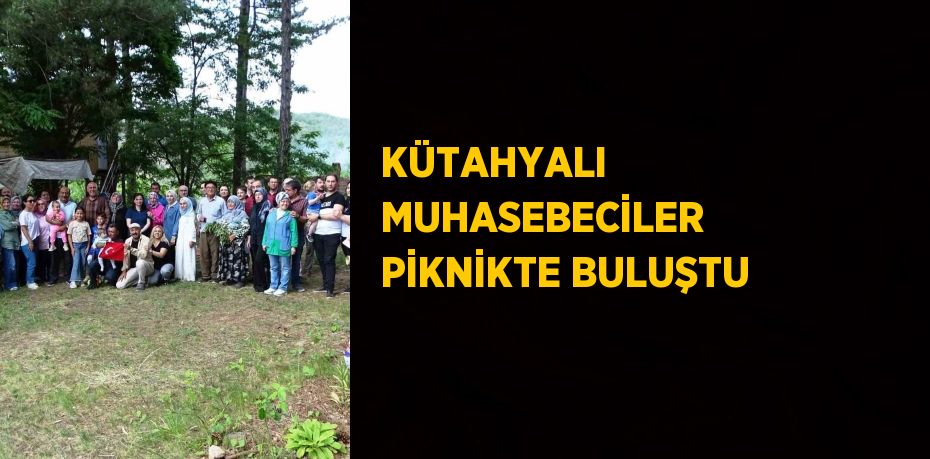 KÜTAHYALI MUHASEBECİLER PİKNİKTE BULUŞTU