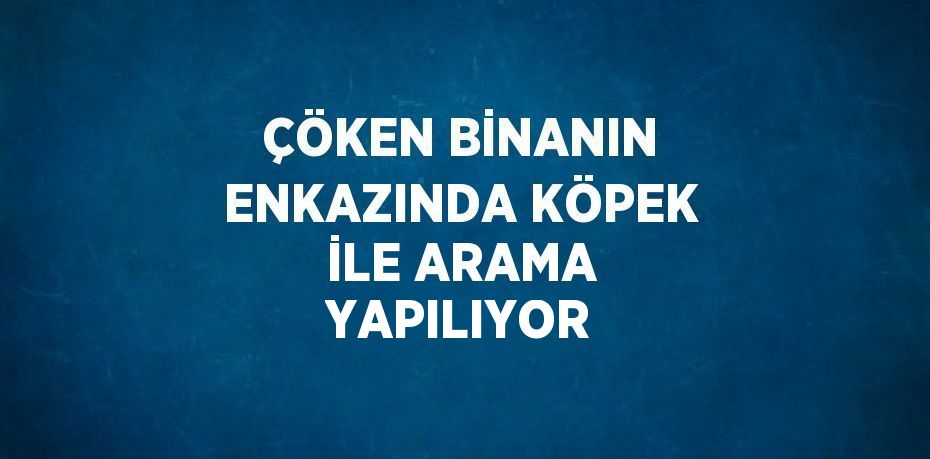 ÇÖKEN BİNANIN ENKAZINDA KÖPEK İLE ARAMA YAPILIYOR