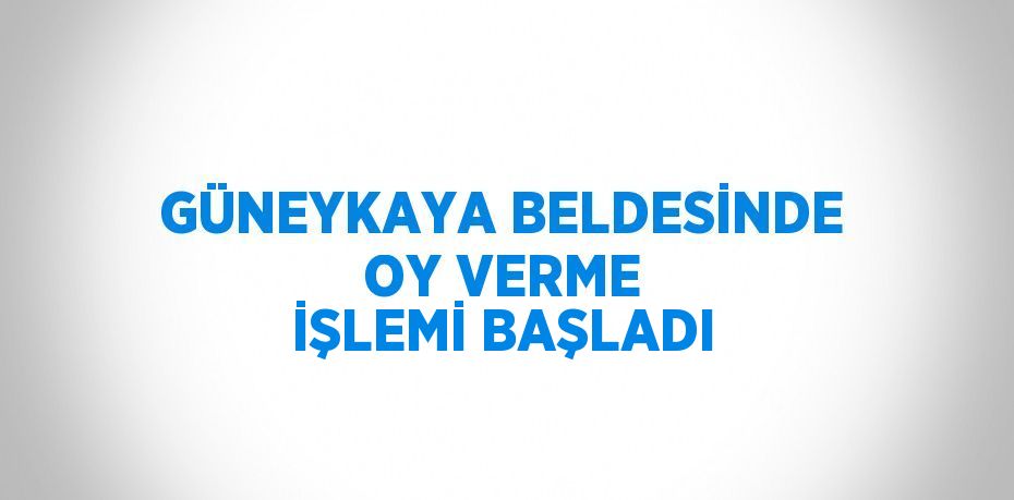 GÜNEYKAYA BELDESİNDE OY VERME İŞLEMİ BAŞLADI