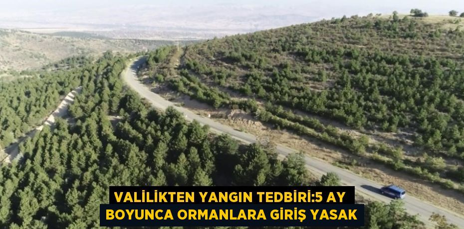 VALİLİKTEN YANGIN TEDBİRİ:5 AY BOYUNCA ORMANLARA GİRİŞ YASAK
