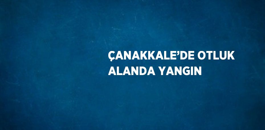 ÇANAKKALE’DE OTLUK ALANDA YANGIN