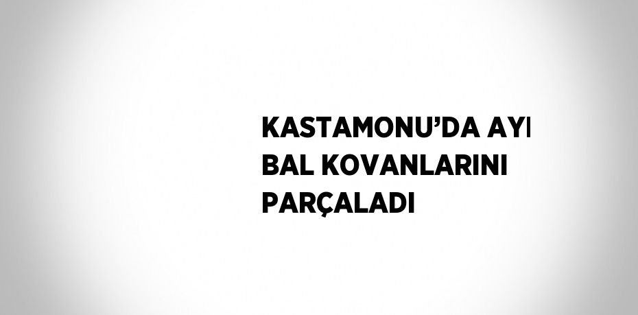 KASTAMONU’DA AYI BAL KOVANLARINI PARÇALADI