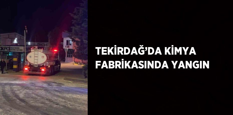 TEKİRDAĞ’DA KİMYA FABRİKASINDA YANGIN