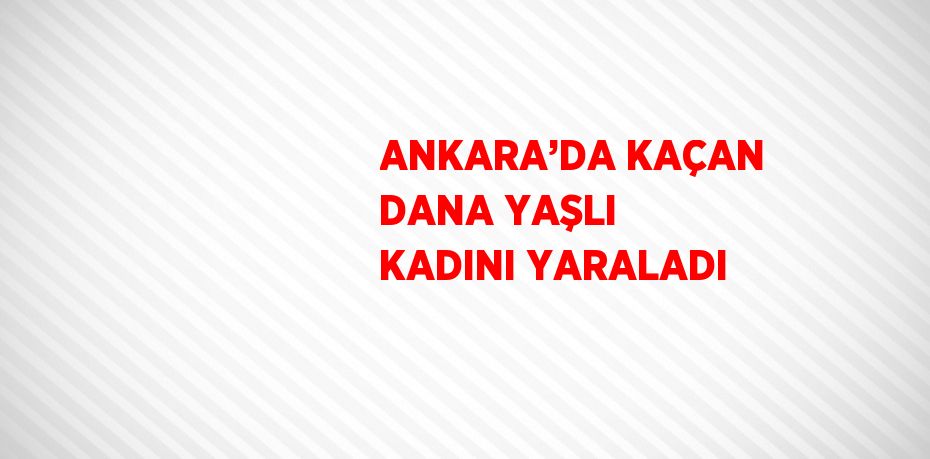 ANKARA’DA KAÇAN DANA YAŞLI KADINI YARALADI