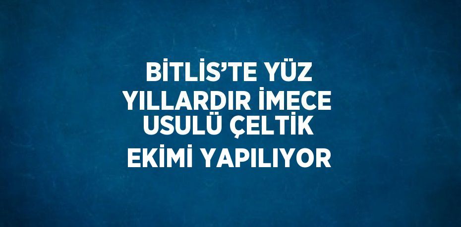 BİTLİS’TE YÜZ YILLARDIR İMECE USULÜ ÇELTİK EKİMİ YAPILIYOR