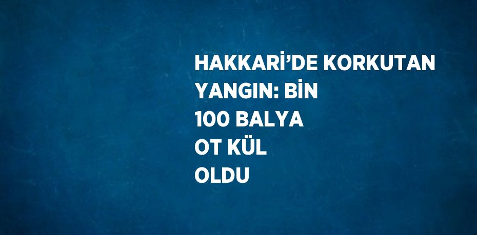 HAKKARİ’DE KORKUTAN YANGIN: BİN 100 BALYA OT KÜL OLDU