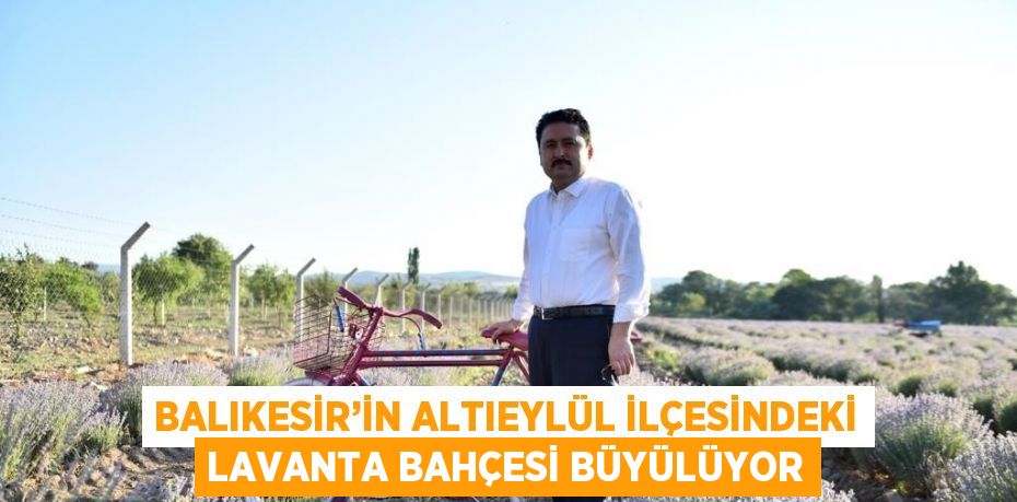 BALIKESİR’İN ALTIEYLÜL İLÇESİNDEKİ LAVANTA BAHÇESİ BÜYÜLÜYOR