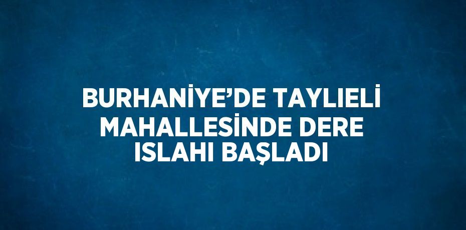 BURHANİYE’DE TAYLIELİ MAHALLESİNDE DERE ISLAHI BAŞLADI